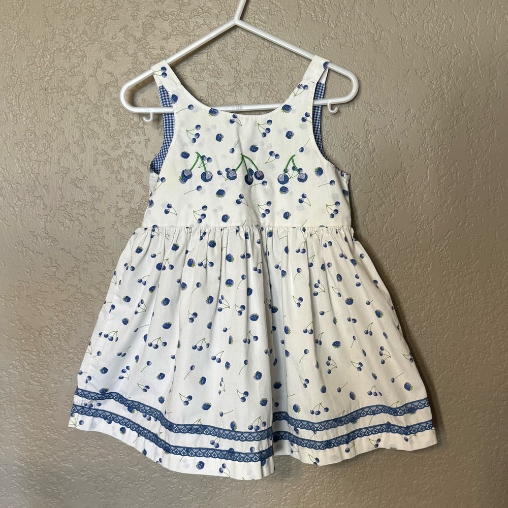 Blueberi Boulevard Dress Size 3T